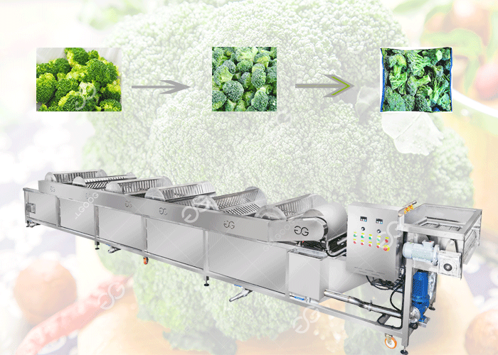 industrial broccoli cleaning machine price