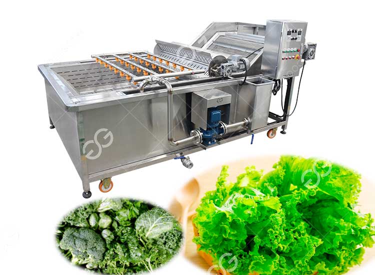 vegetable-washing-plant