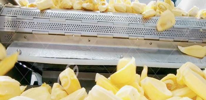 Sanitizing Fruits And Vegetables For COVID-19 In Small-Scale Fruit Processing Plant