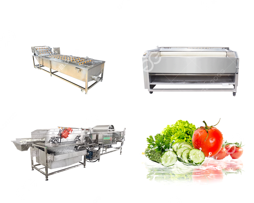 farm vegetable processing equipment price