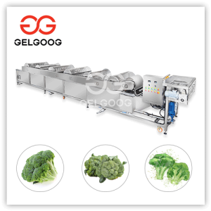 broccoli cleaning machine price