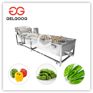 chilli cleaning machine price