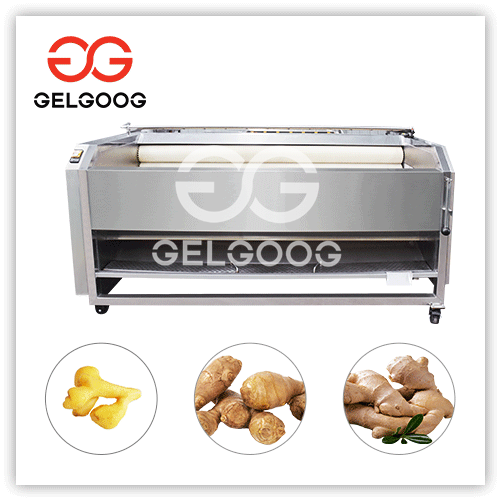 ginger washing and peeling machine