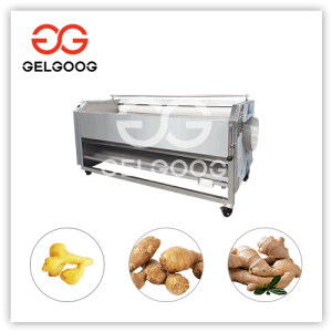 ginger washing and peeling machine