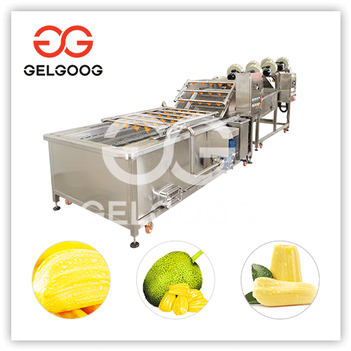 Industry Jackfruit Washing Processing Machine