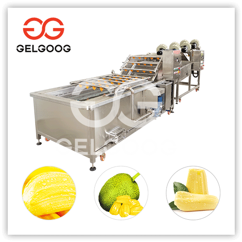 jackfruit processing industry