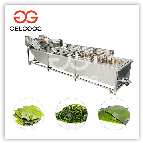 Stainless Steel Kelp Seaweed Cleaning Washing Processing Machine Plant