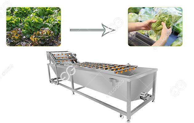 Fruit And Vegetable Cleaning Device High Frequency Vibration - Temu