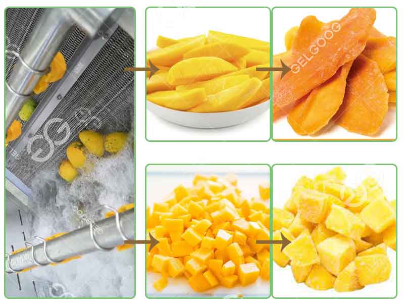 mango-processing-plant