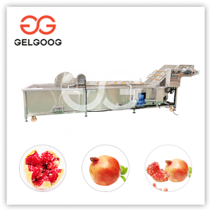 pomegranate processing plant