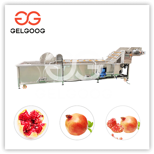 Air Bubble Pomegranate Washing Machine Processing Plant