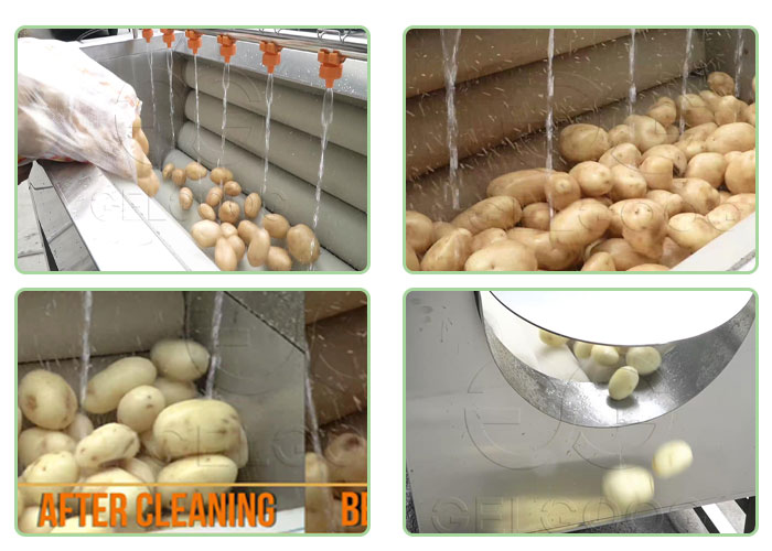 potato-washing-machine