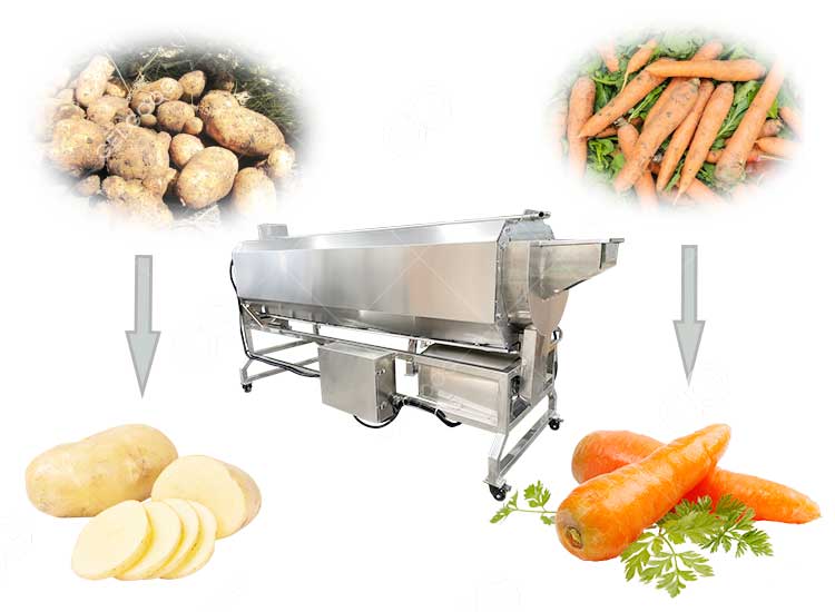 radish-vegetable-washing-machine