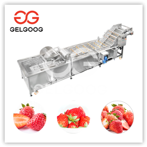 strawberry washing machine price