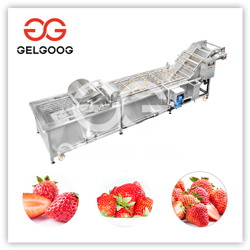 Strawberry Washing Machine System Berry Processing Equipment Manufacture