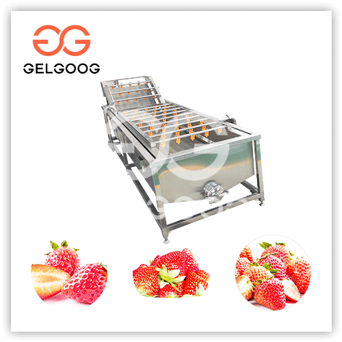 berry processing equipment manufacture