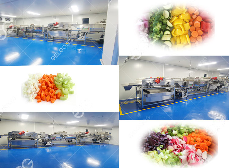 vegetable-washing-equipment