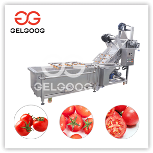 Hot Sale 304 Stainless Steel Tomato Dicing Machine for Cutting Tomato Cubes  - China Tomato Dicing Machine, Tomato Dice Cutting Machine