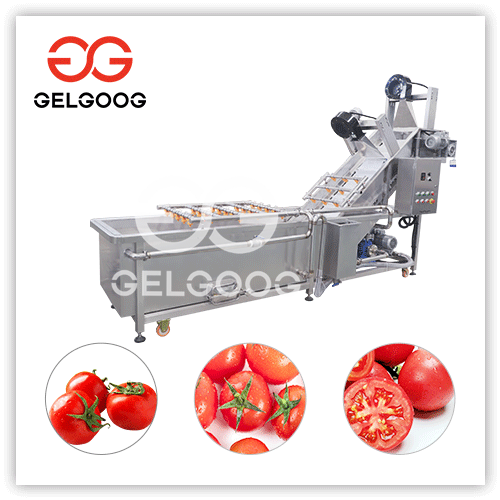 Fruit Washing Machine For Washing Machine Tomato Price