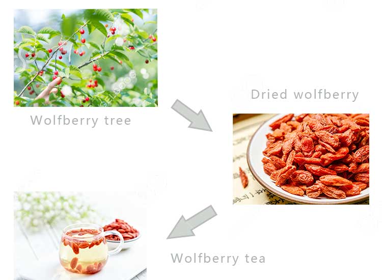 wolfberry-cleaning-machine