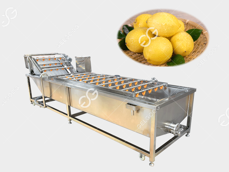 lemon washing machine and grading machine for sale