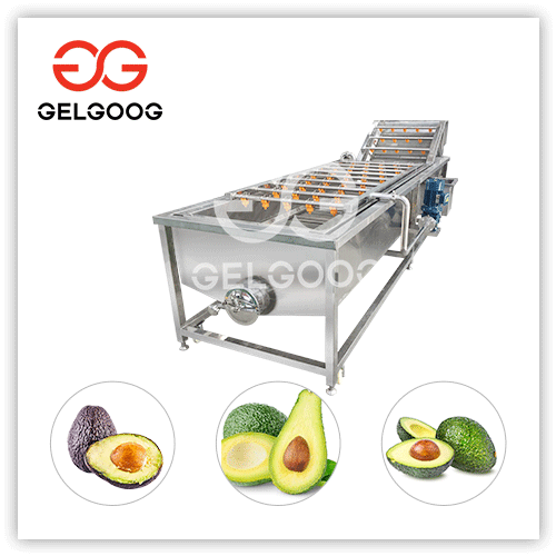 avocado cleaning machine price