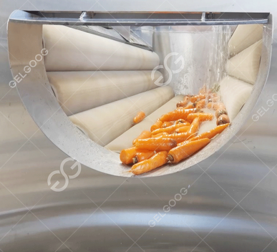 How Do You Cleaning Sterilize Carrots In Vegetable Processing Plant?