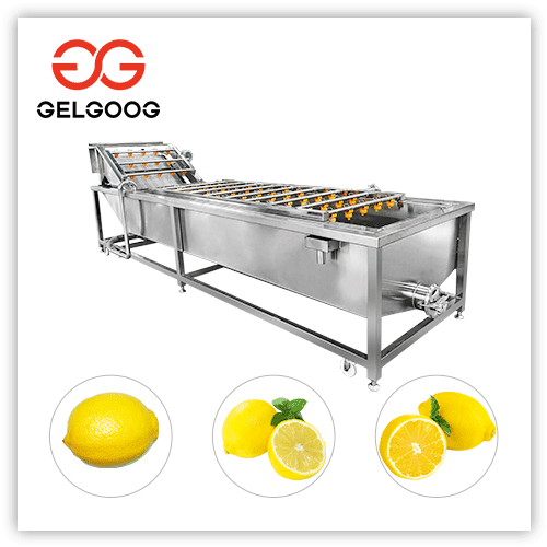Industrial Lemon Fruit Washing Machine For Sale