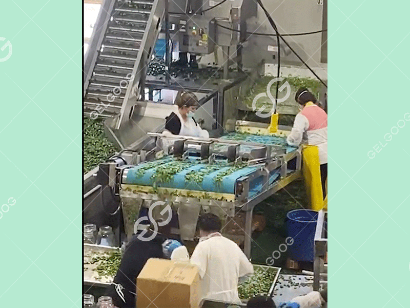 How Do I Start A Vegetable Wholesale Business?