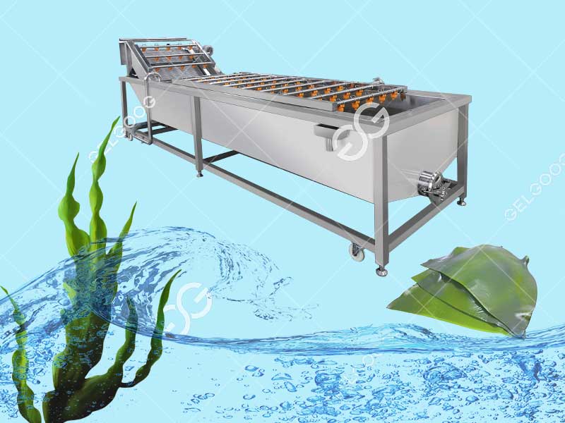 How Does The Seaweed Processing Plant Clean The Seaweed?