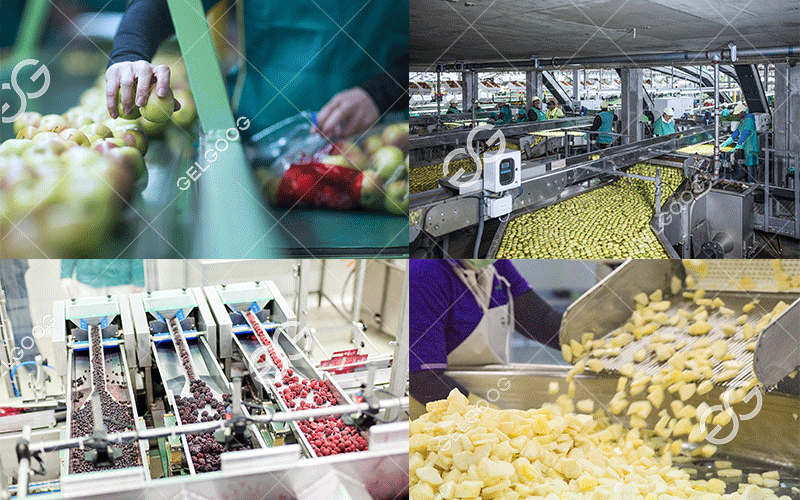 process fruits and vegetables