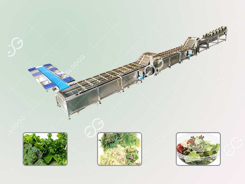 leaf vegetable washing machine