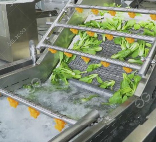 Does Veggie Wash Actually Work With Vegetable Cleaning Equipment?