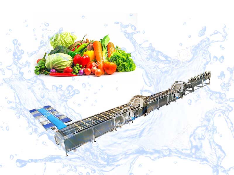 vegetable food processing industries in new-york