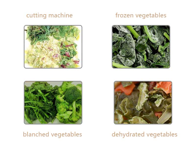 leafy vegetables processing
