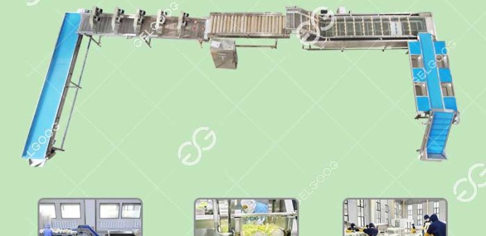 What Are The Application Scenarios Of Vegetable Washing Processing Line?