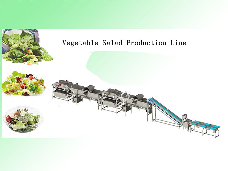 clean vegetable salad