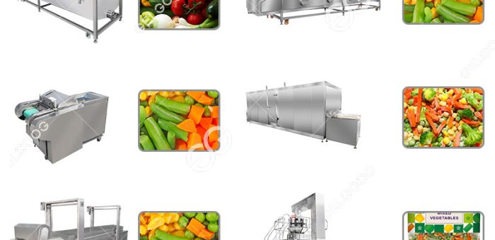 How To Process Frozen Vegetables In A Frozen Vegetable Processing Plant Near Me