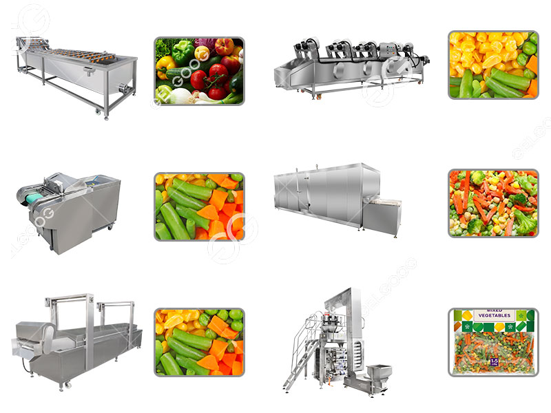 frozen vegetable processing plant 