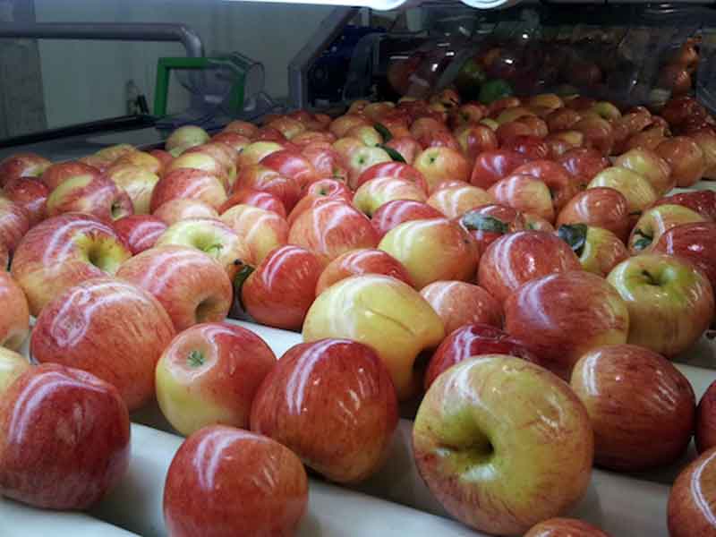 How To Make Fruit Wax?
