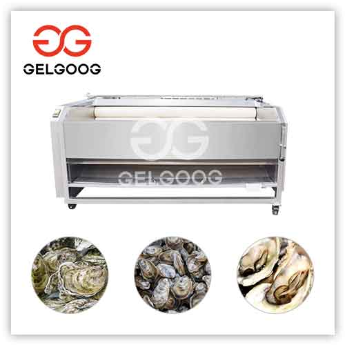 Brush Oyster Washing Cleaning Machine For Sale