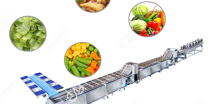 Can The Vegetable Washing Line Be Customized?