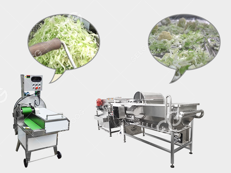 Automatic Salad Vegetable Cutting Slicer Food Processing Factory