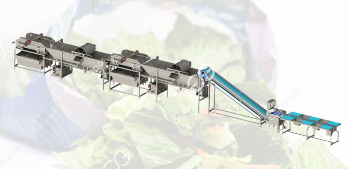 What Is Fresh-Cut Vegetable Processing In Vegetable Processing Unit ?