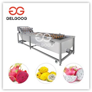 dragon fruit washing machine