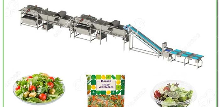Fresh Cut Vegetables Business Plan