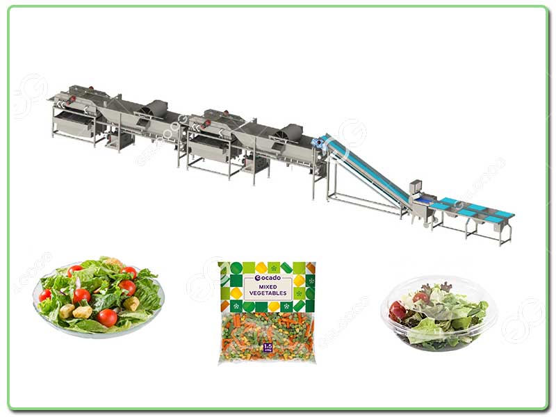 fresh vegetable processing line