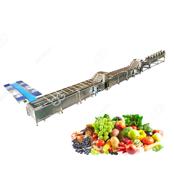 Leafy Vegetable Washing And Drying Processing Line