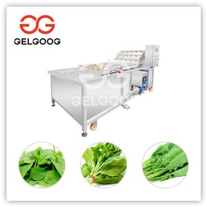 spinach washing machine