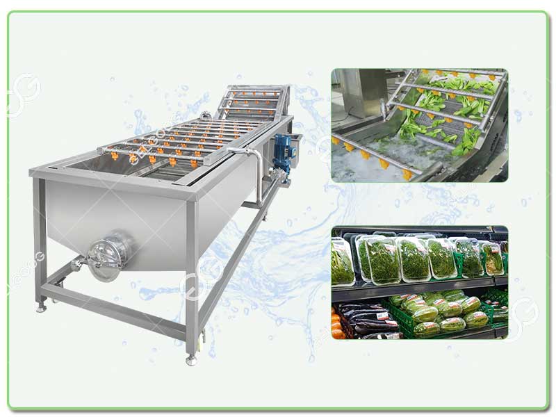 leafy vegetable washing machine for sale 
